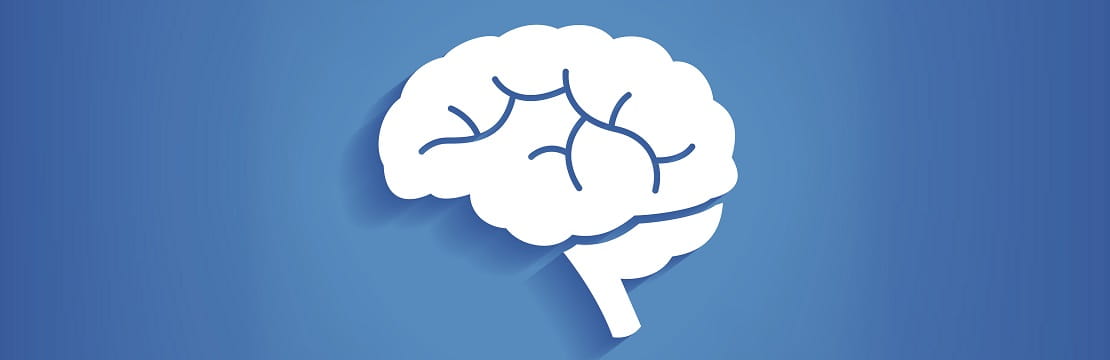 EQ vs. IQ: The Great Brain Debate